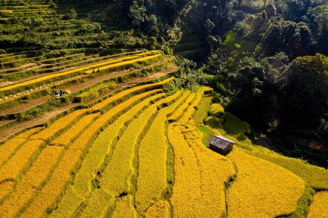 Cao Bang Loop Tour 3D2N by Motorbike, Car or Jeep - Ma Phuc Pass, Phia Thap Incense, and Angel Eye Mountain on Day 2