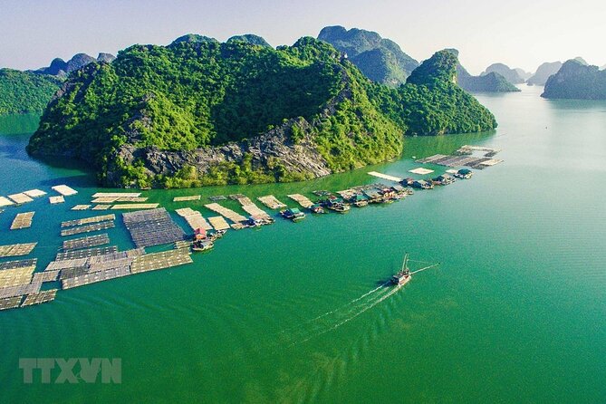 Cat Ba Cruise 2 Days 1 Night - Meals that make a 2-day cruise feel easy