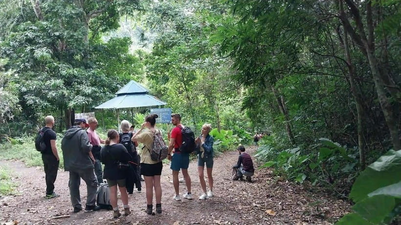 Cat Ba: National Park Day Trip with Cycling and Kayaking - Pickup and Timing: What Your 9 Hours Will Feel Like