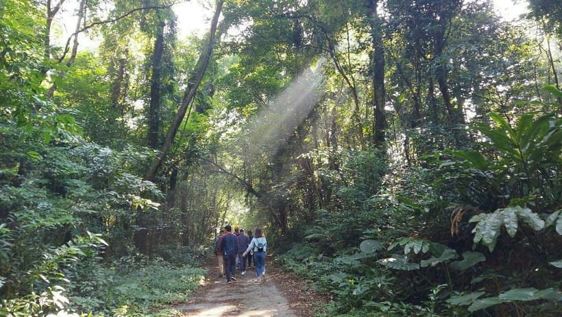 Cat Ba: National Park Day Trip with Cycling and Kayaking - Cycling to the Harbor: A Scenic Route You Can Actually Enjoy