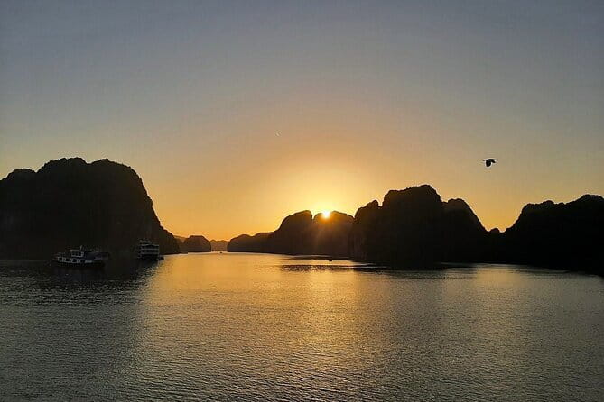 Cat Ba: Sunset & Bioluminescent Kayaking on Lan Ha Bay - Bioluminescent kayaking, swimming, and how to manage the dark