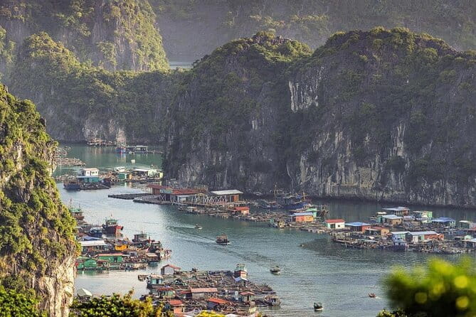 Cat Ba: Sunset & Bioluminescent Kayaking on Lan Ha Bay - Price and value: is $43 a good deal for this kind of evening?