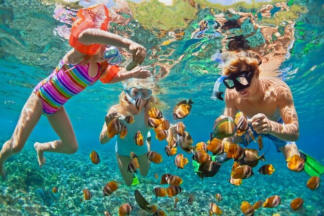 Cham Island Daily-Snorkeling(Optional:Pick up at Cua Dai Port) - Key highlights to look for