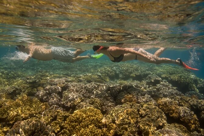Cham Island Daily-Snorkeling(Optional:Pick up at Cua Dai Port) - Price and value: what you’re really paying for at $38