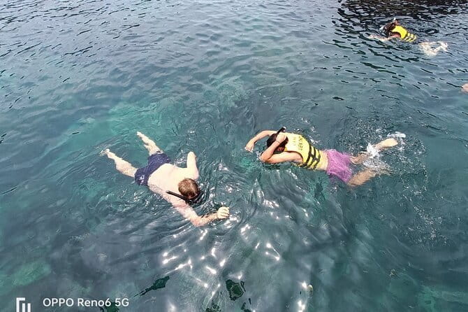 Cham Island: Snorkeling Tour - Who this Cham Island tour fits best, and who should skip
