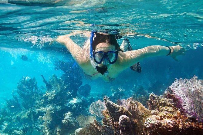 Cham Island Tour Snorkeling -Sunbathing - Nice Beach - Speedboat - Morning start: from your Hoi An hotel to speedboat check-in