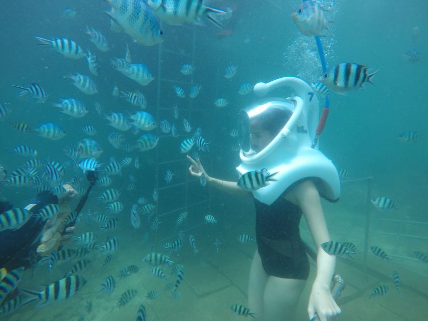 Cham Island: Underwater Walking & Snorkeling Tour - From Hoi An Or Da Nang To Cua Dai Wharf: The Smooth Start