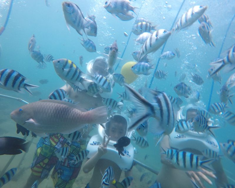 Cham Island: Underwater Walking & Snorkeling Tour - The Reef Plan: Snorkeling First, Then Underwater Walking Rotation