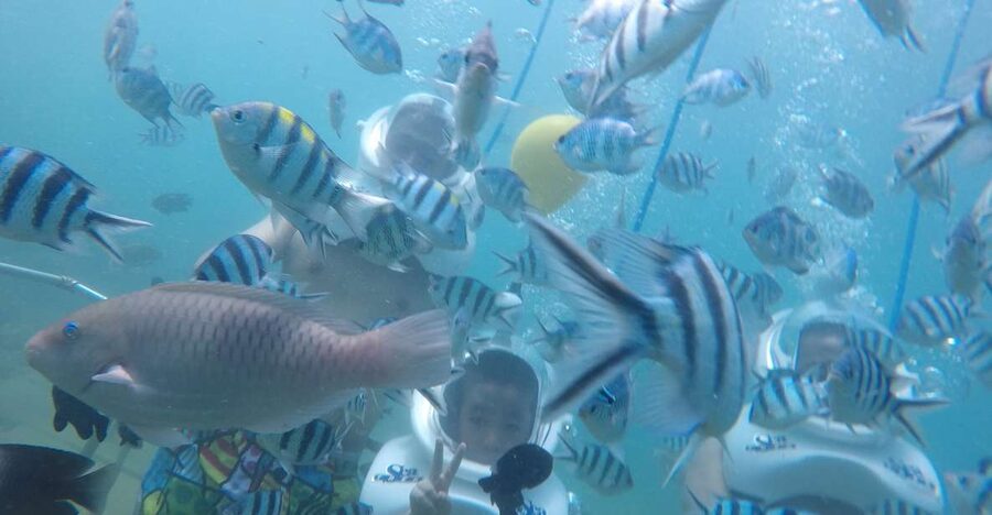 Cham Island: Underwater Walking & Snorkeling Tour - The Boat Ride To Cham Island: Traditional Feel, Fast Time