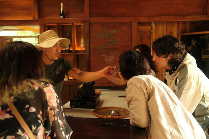 Coffee Farm Tour with Roasting & Tasting Workshop - Da Lat - Plantation tour: Arabica in the field, and what you should look for
