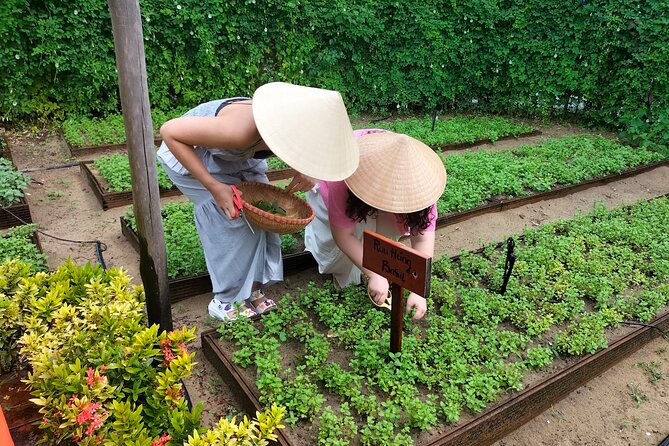 Cooking Class Hoi An - Organic Garden - Farming Tour-Handicrafts - The nearby 5-star resort by the river: a practical optional stop