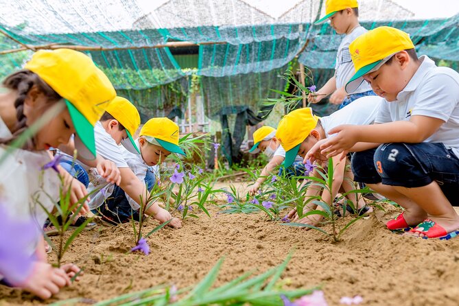 Cooking Class Hoi An - Organic Garden - Farming Tour-Handicrafts - Who should book this cooking class, and who might not