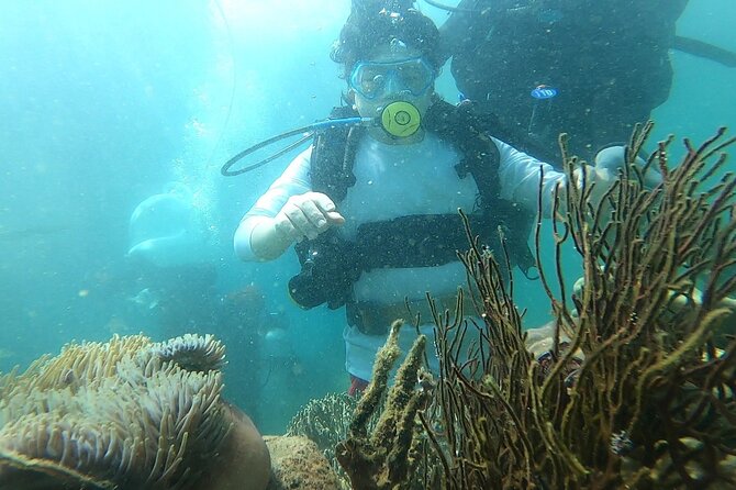 Coral Reef Snorkeling and Floating Bar Party from Nha Trang - Start Time, Pickup, and How the Day Actually Flows