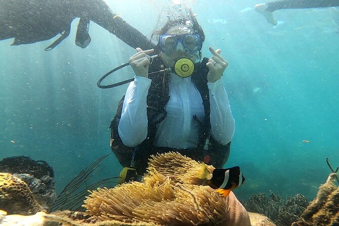 Coral Reef Snorkeling and Floating Bar Party from Nha Trang - Stop 3: Con Sẻ Tre Tourist Village Lunch and Water Time