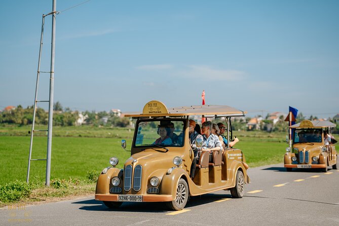 Countryside Adventure Private Tour by Electric Car - Rice fields, water buffalos, and birds: the core countryside experience