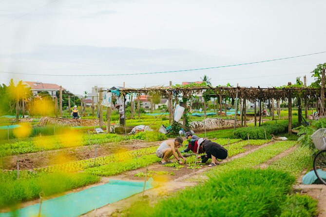 Countryside Adventure Private Tour by Electric Car - Local neighborhoods, temples, and the feeling of living countryside