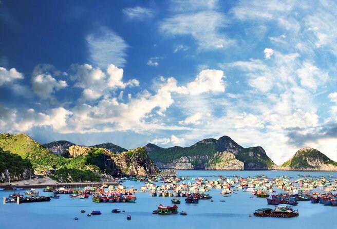Cruising- Kayaking- Cycling- Trekking 3D/2N from Cat Ba in less tourist areas. - Key highlights worth your attention