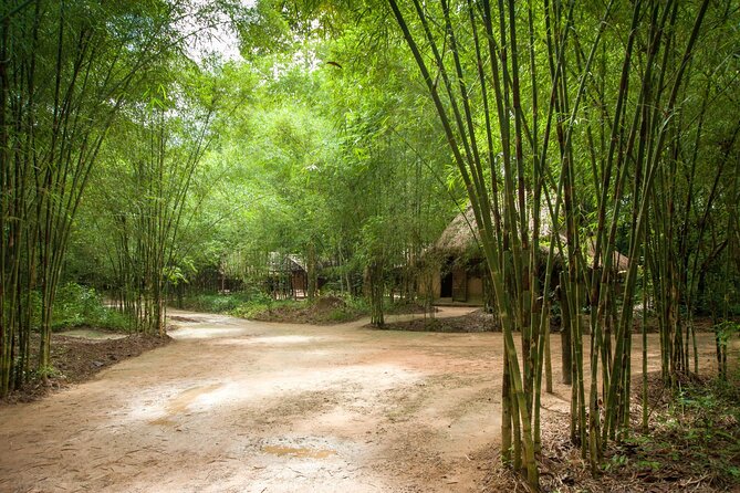 Cu Chi Tunnel Half Day - Small Group Tour - Entering the Tunnels: Video First, Then About One Hour Underground