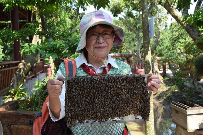 Cu Chi tunnel & Mekong Combined In One Day Tour Excursion - My Tho and the Mekong Delta cruise: creeks, fruit, honey, and music