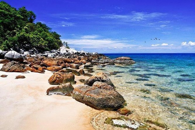 Cu Lao Cham Island Tour from Da Nang/ Hoi An - The big idea: a Cham Island day trip that runs on purpose