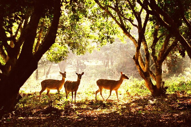 CUC Phuong National Park One Day Small Group - Key highlights you’ll care about