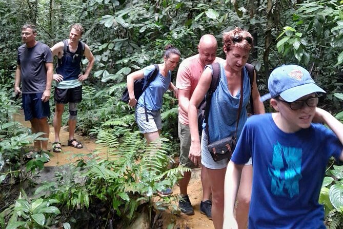 CUC Phuong National Park One Day Small Group - Through Primary Forest to the Park Centre, Then a Short Trek