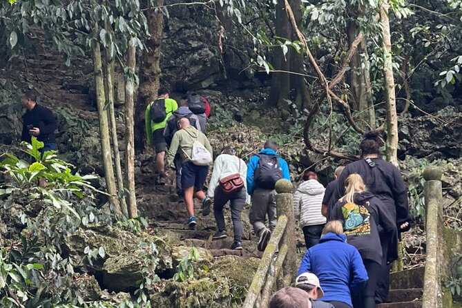 CUC Phuong National Park One Day Small Group - Price and Value: Is $50 for Cuc Phuong a Good Deal?