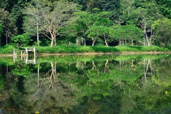 Cuc Phuong National Park Private Day Tour: Trekking & Primates - Private pickup and the realistic timing of a 10 to 11 hour day
