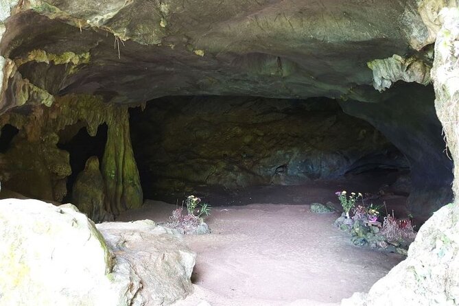 Cuc Phuong National Park Private Day Tour: Trekking & Primates - The guided jungle trek: what you should expect physically