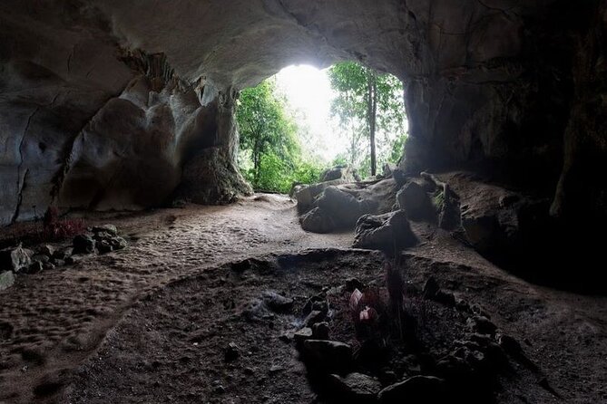 Cuc Phuong National Park Private Day Tour: Trekking & Primates - Monkeys, turtles, and the value of seeing more than one side of the park