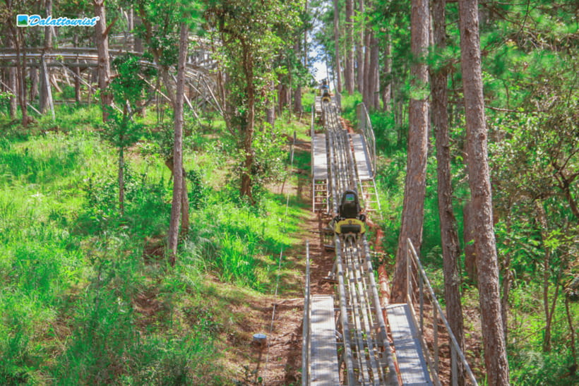 Da Lat: Datanla New Alpine Coaster Experience Entry Ticket - Entering Datanla, what you are really buying