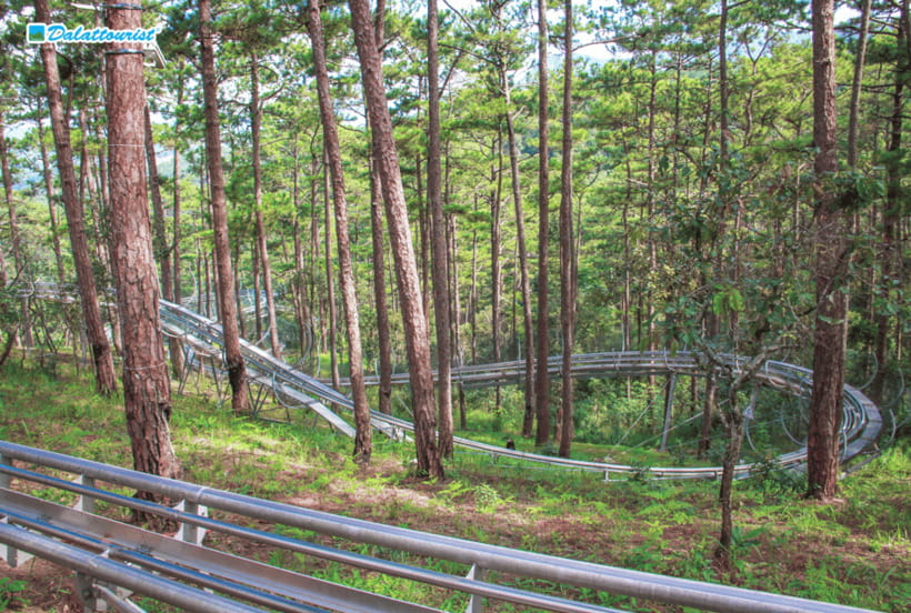 Da Lat: Datanla New Alpine Coaster Experience Entry Ticket - The 2,400 m alpine coaster, how the thrill plays out