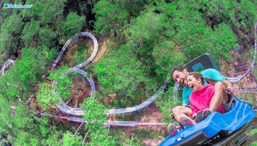 Da Lat: Datanla New Alpine Coaster Experience Entry Ticket - Other things you can do at Datanla