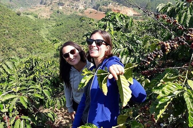 Da Lat Loop Tour On Motorbike - Private Tour - FAQ
