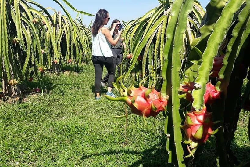 Da Lat Loop Tour On Private Car - Nam Ban Silk Village, Look-Only Learning, and the Rice Wine House
