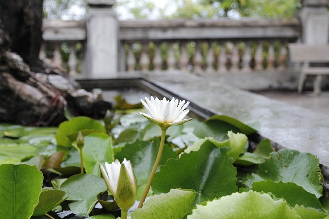 Da Nang Discovery With Cool Locals - Guides, photos, and the relaxed pace that makes it feel local