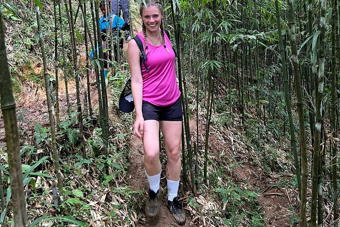 Daily Tour: Sapa Trekking in Muong Hoa valley, Bamboo forest - From pick-up to Lao Chai: the trek’s opening stretch
