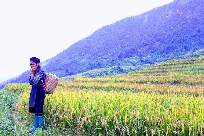 Daily Tour: Sapa Trekking in Muong Hoa valley, Bamboo forest - Price and value: $29.90 that covers real logistics