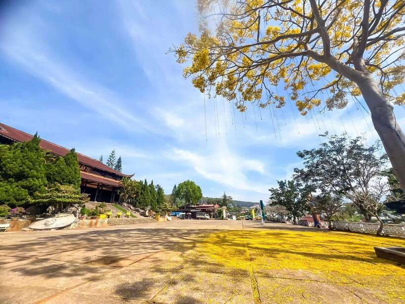 Dalat: 3 Waterfalls Day Tour — Datanla, Pongour & Elephant - Van Thanh Flower Village: a quick first look at the region