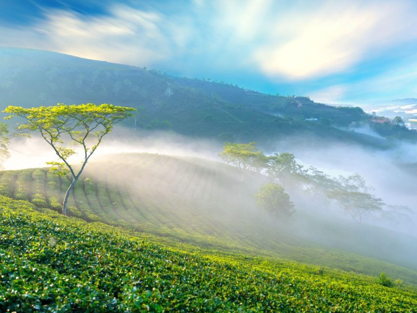 Dalat: Best of the Countryside Tour in a Private Car - Me Linh Coffee Garden: the morning tasting that sets the tone