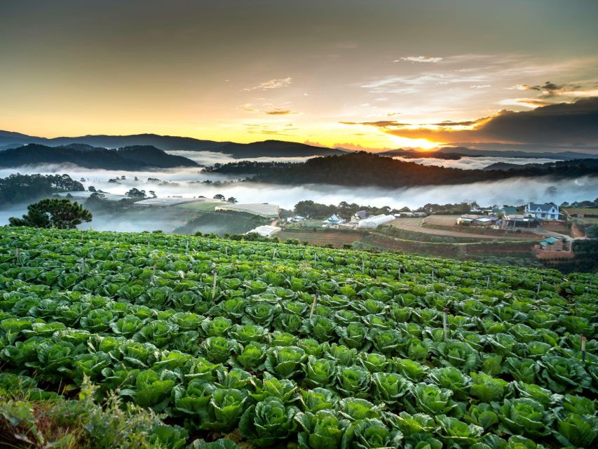 Dalat: Best of the Countryside Tour in a Private Car - Trại Dế Thiện An: where the rural details turn interesting