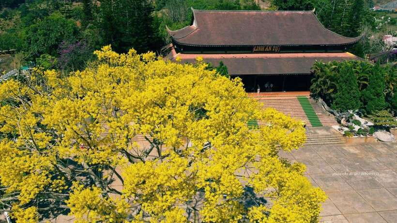 Dalat Countryside & Pongour Waterfall Tours (Small Group) - Key highlights to clock right away