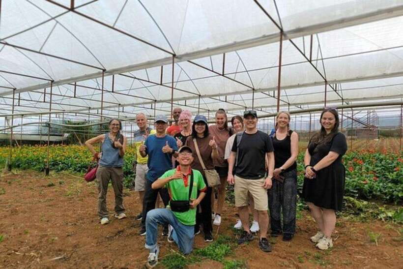 Dalat Countryside & Pongour Waterfall Tours (Small Group) - Pickup From Dalat and the Van Ride Out to the Countryside