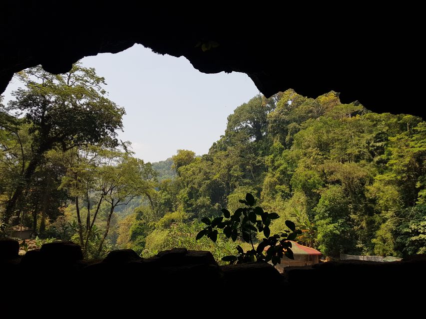 Dalat: Countryside Tour with Silk Village & Elephant Falls - Me Linh Coffee Garden, roasted beans, and taste tests you can repeat