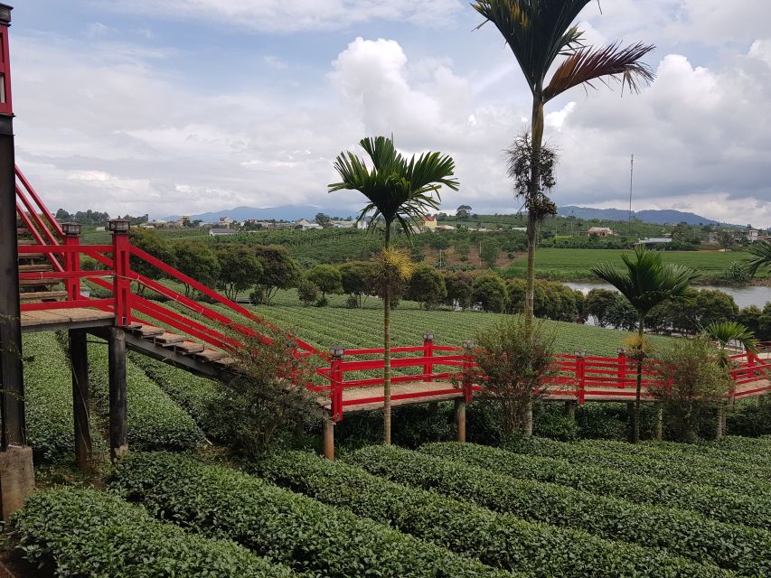 Dalat: Countryside Tour with Silk Village & Elephant Falls - Elephant Falls and Linh An Pagoda, including a 71-meter Lady Buddha