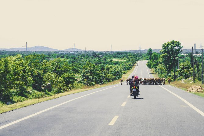 Dalat Go Kart - Mongoland & Dalat Countryside Group Tour - KDL Sinh Thái Cao Nguyên Hoa Đà Lạt: the real-life Mario Kart moment