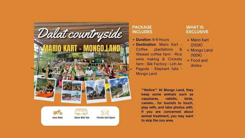 Dalat: Mario kart - Mongo Land - Countryside Tour - Coffee plantation country: the slow reset after the adrenaline