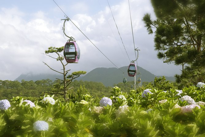 Dalat Private Tour Package in 2 Days - Private Transportation That Actually Helps
