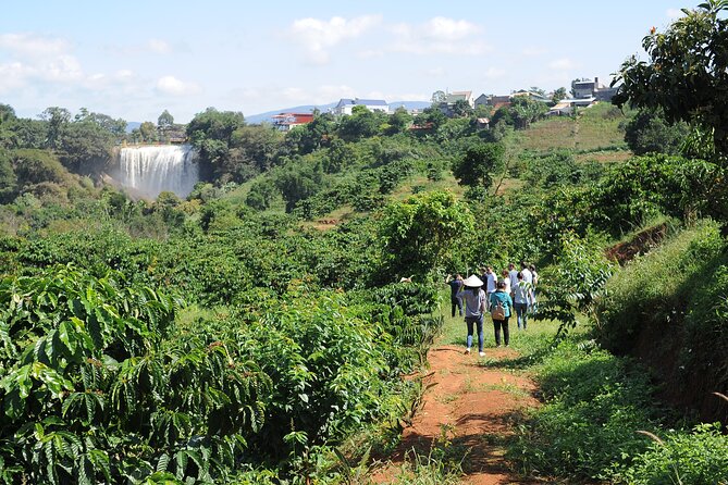 Dalat's countryside|Coffee Plantations Tour beyond Elephant falls - Why Da Lat’s cool air matters for coffee