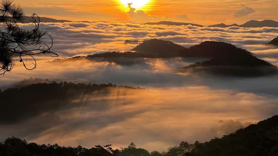 Dalat: Sunrise Trekking and Cloud Hunting experience - FAQ